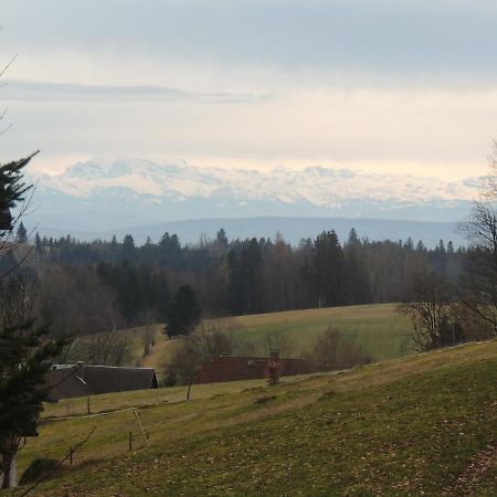 Haus Ingeborg Apartamento Dachsberg im Schwarzwald Exterior foto