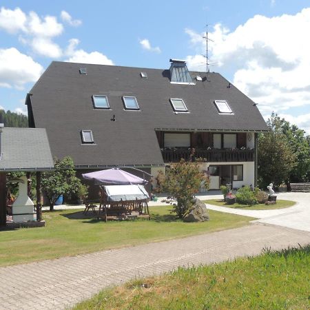 Haus Ingeborg Apartamento Dachsberg im Schwarzwald Exterior foto