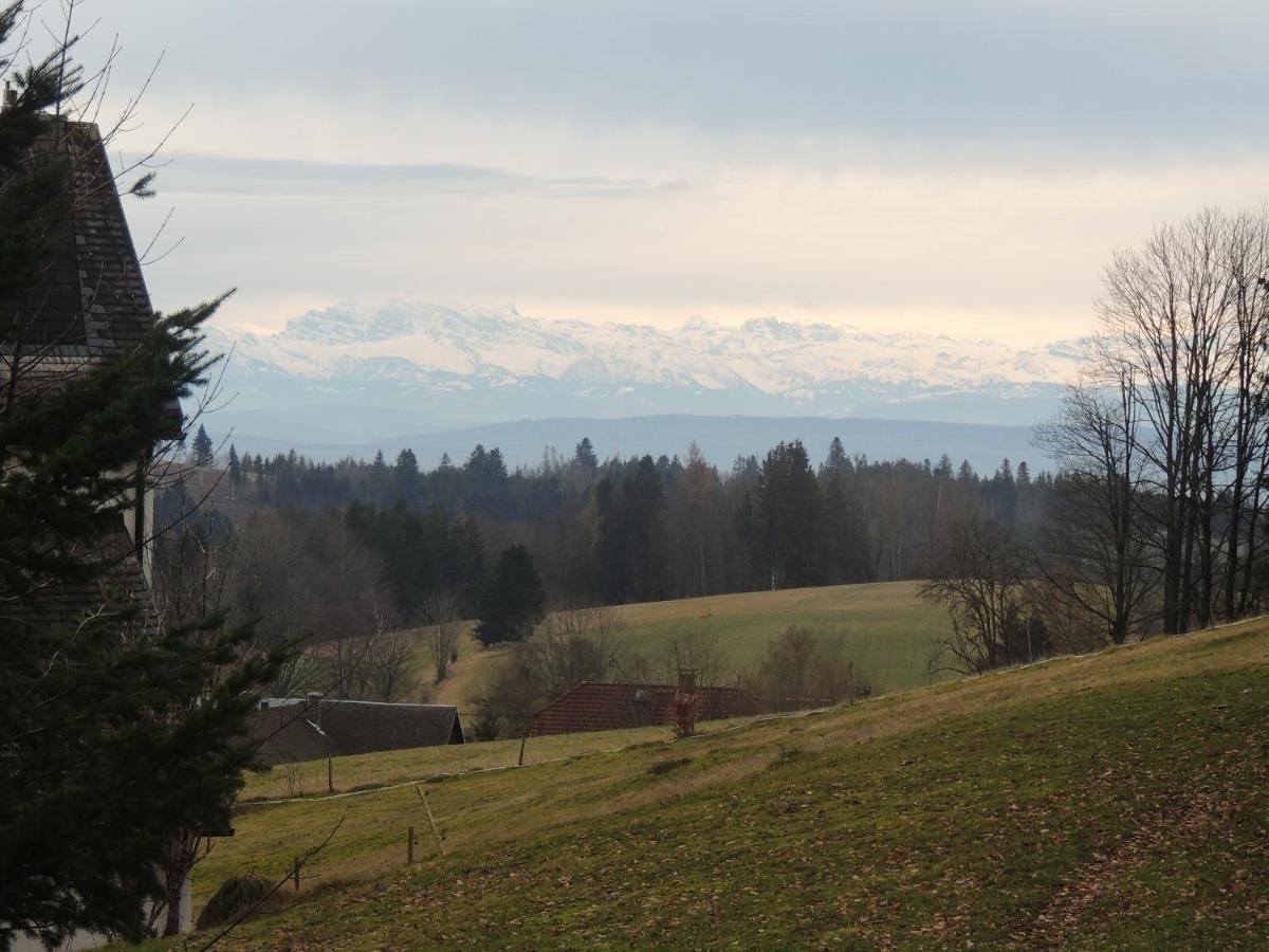 Haus Ingeborg Apartamento Dachsberg im Schwarzwald Exterior foto