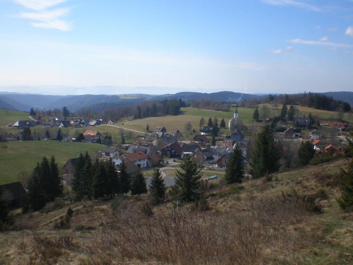 Haus Ingeborg Apartamento Dachsberg im Schwarzwald Exterior foto