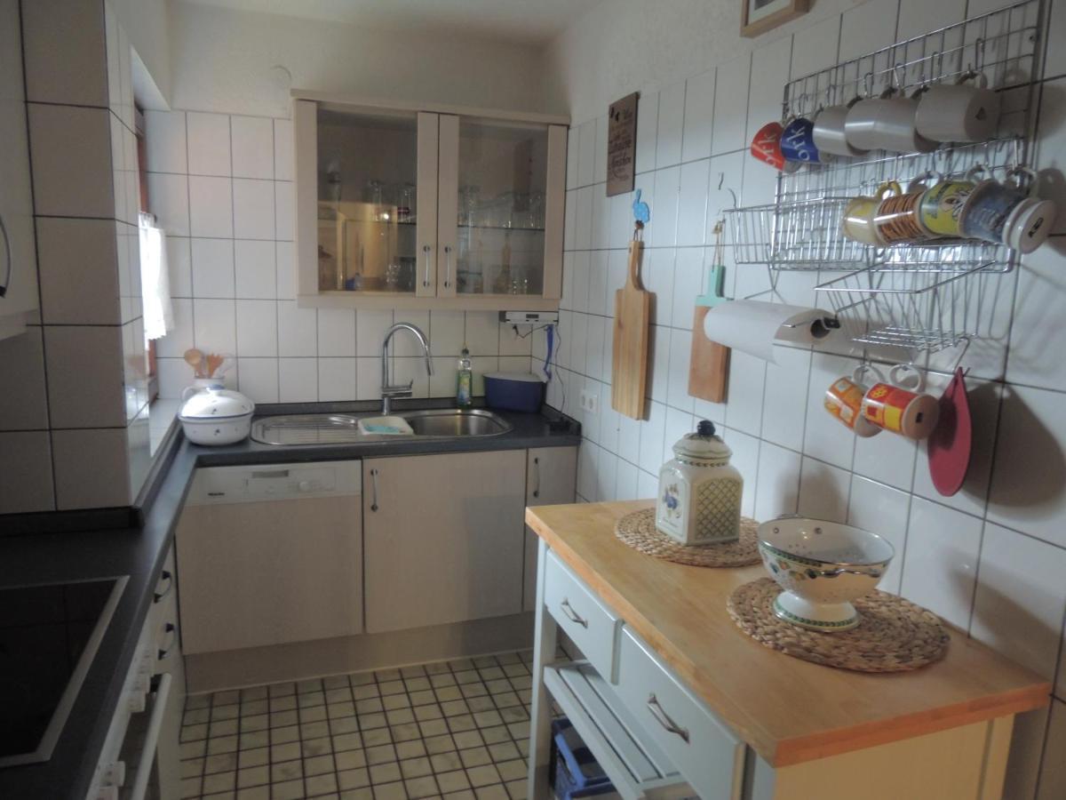 Haus Ingeborg Apartamento Dachsberg im Schwarzwald Exterior foto