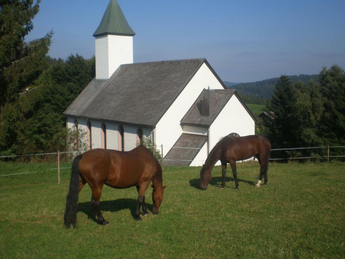 Haus Ingeborg Apartamento Dachsberg im Schwarzwald Exterior foto