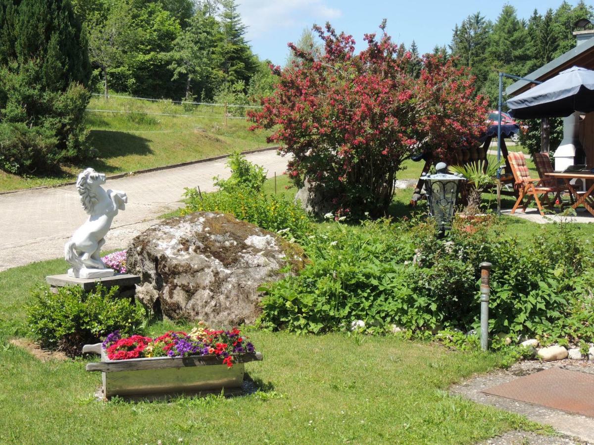 Haus Ingeborg Apartamento Dachsberg im Schwarzwald Exterior foto
